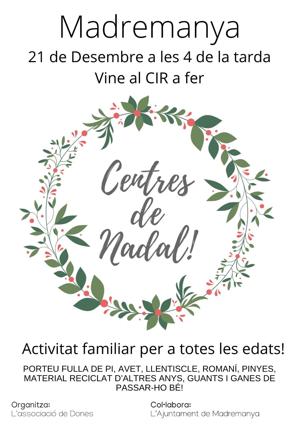 CENTRES DE NADAL 2024